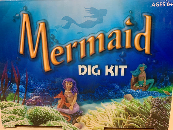 Mermaid Dig Kit